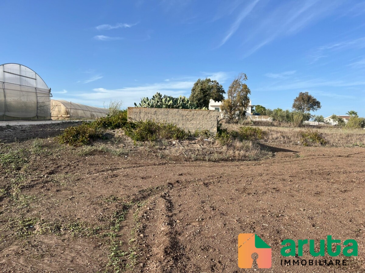 Pachino - C.da Scirbata (12)