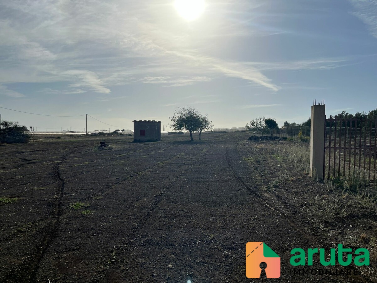 Pachino - C.da Scirbata (6)