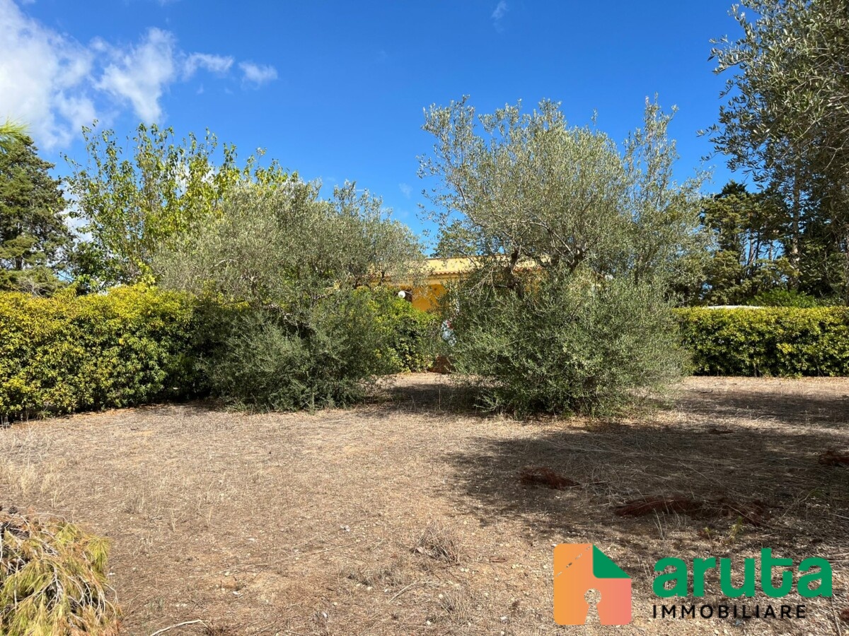 San Lorenzo - VI strada (10)