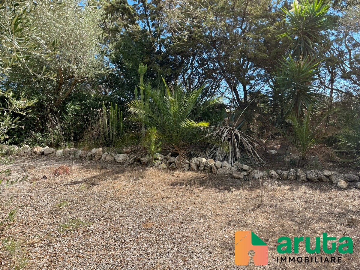 San Lorenzo - VI strada (11)