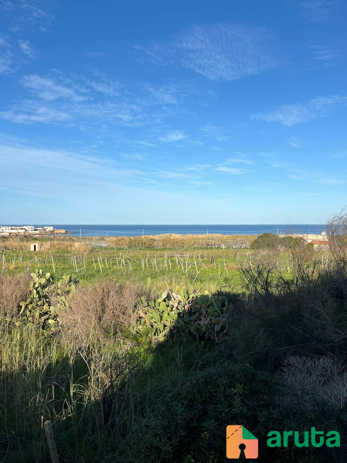 Pachino - Morghella (13)