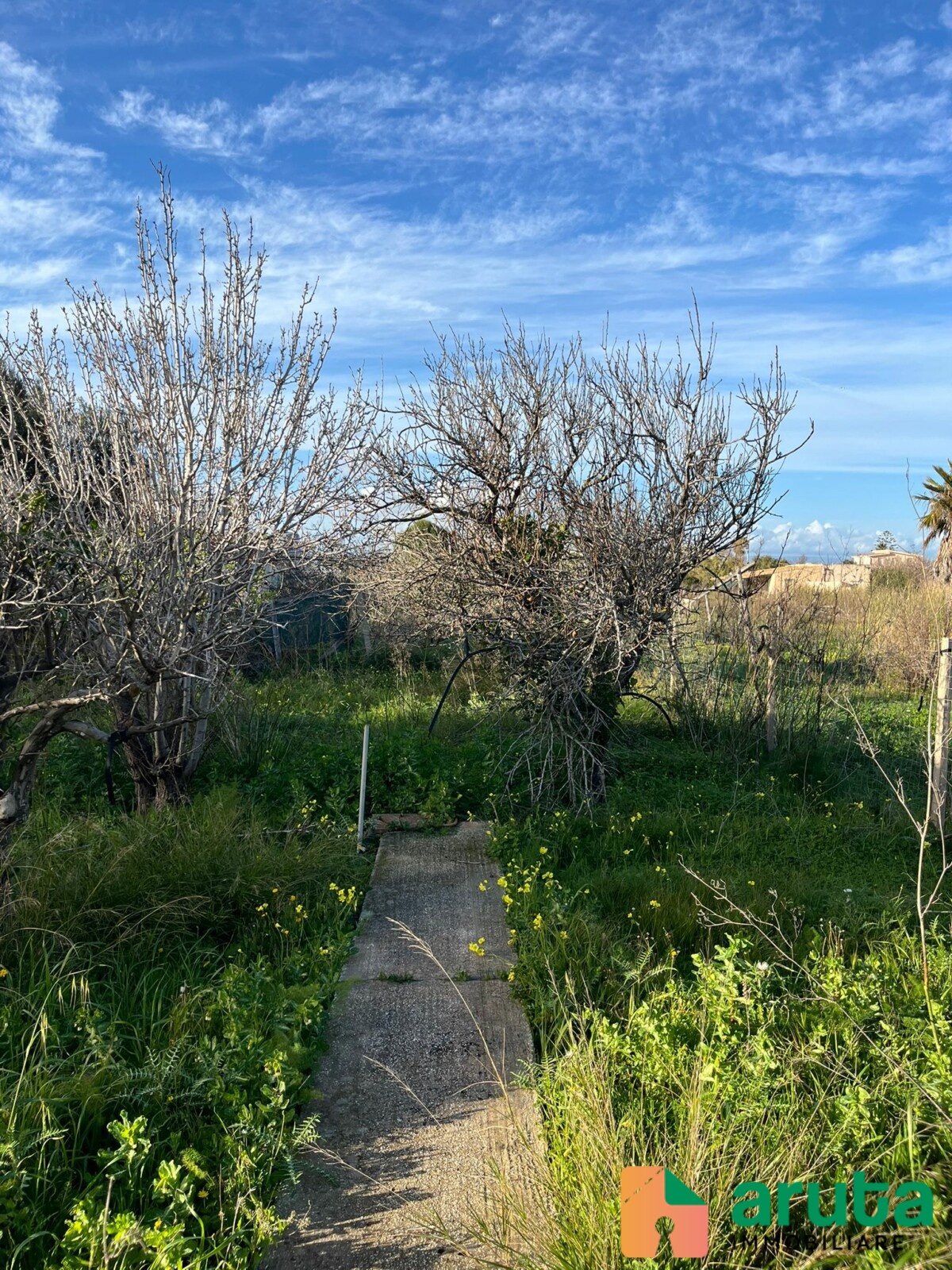 Pachino - Morghella (27)