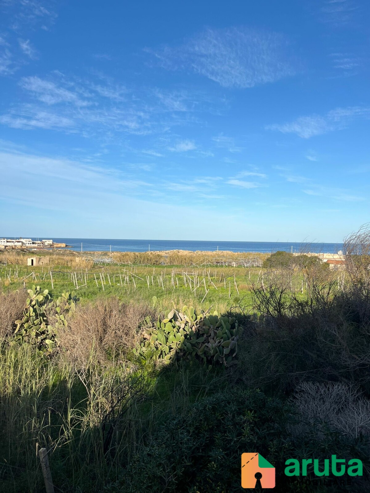 Pachino - Morghella (42)