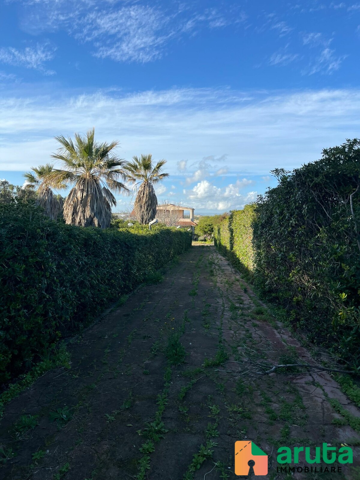 Pachino - Morghella (51)