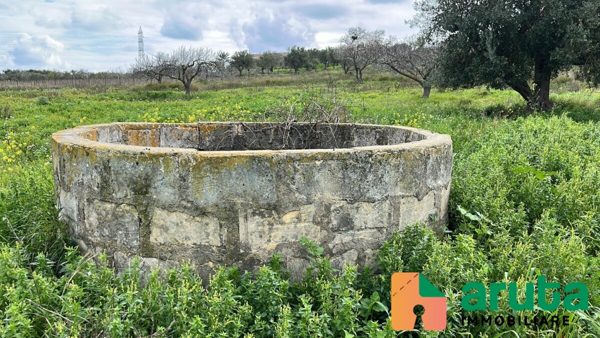 Noto c.da Maccari (17)