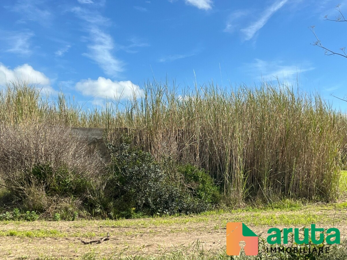 Pachino - Terreno c.da Baronello (11)