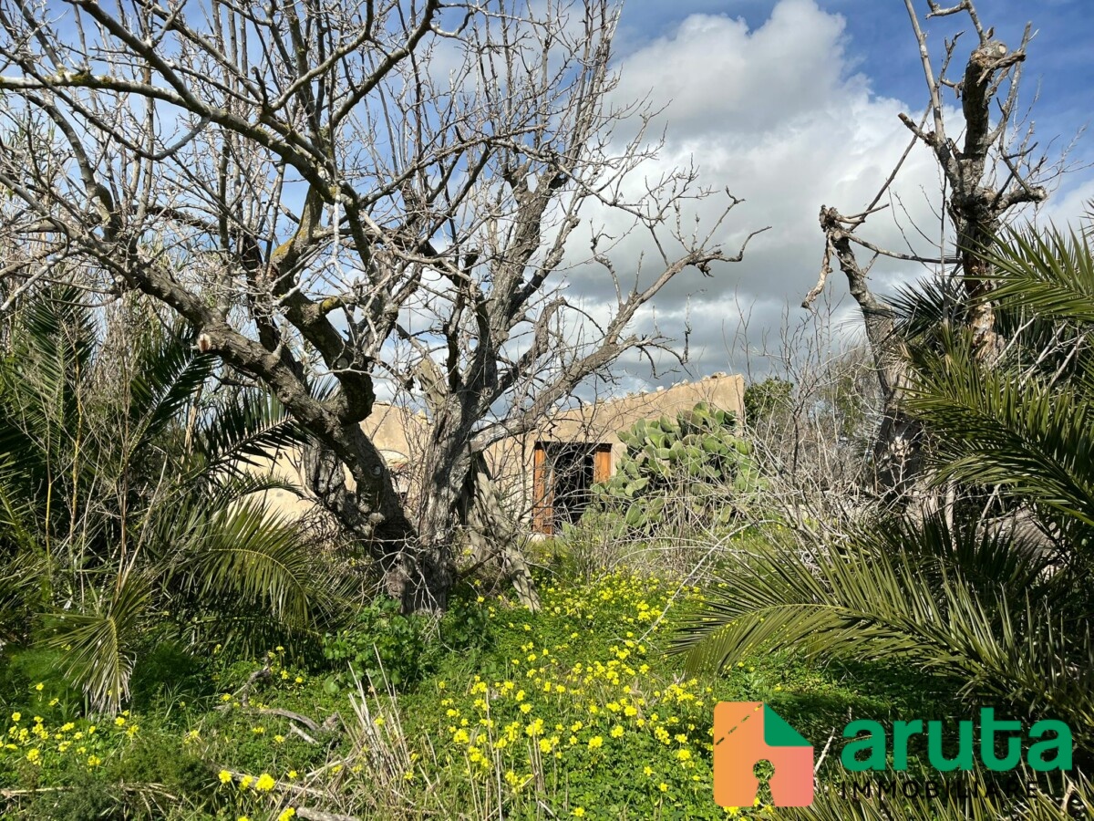 Pachino - Terreno c.da Baronello (5)