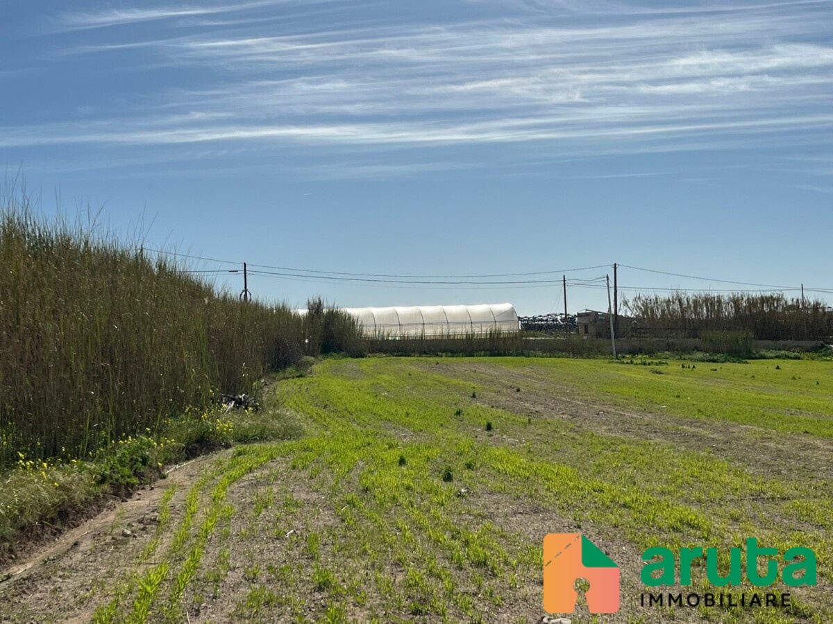 Pachino - Terreno c.da Baronello (6)