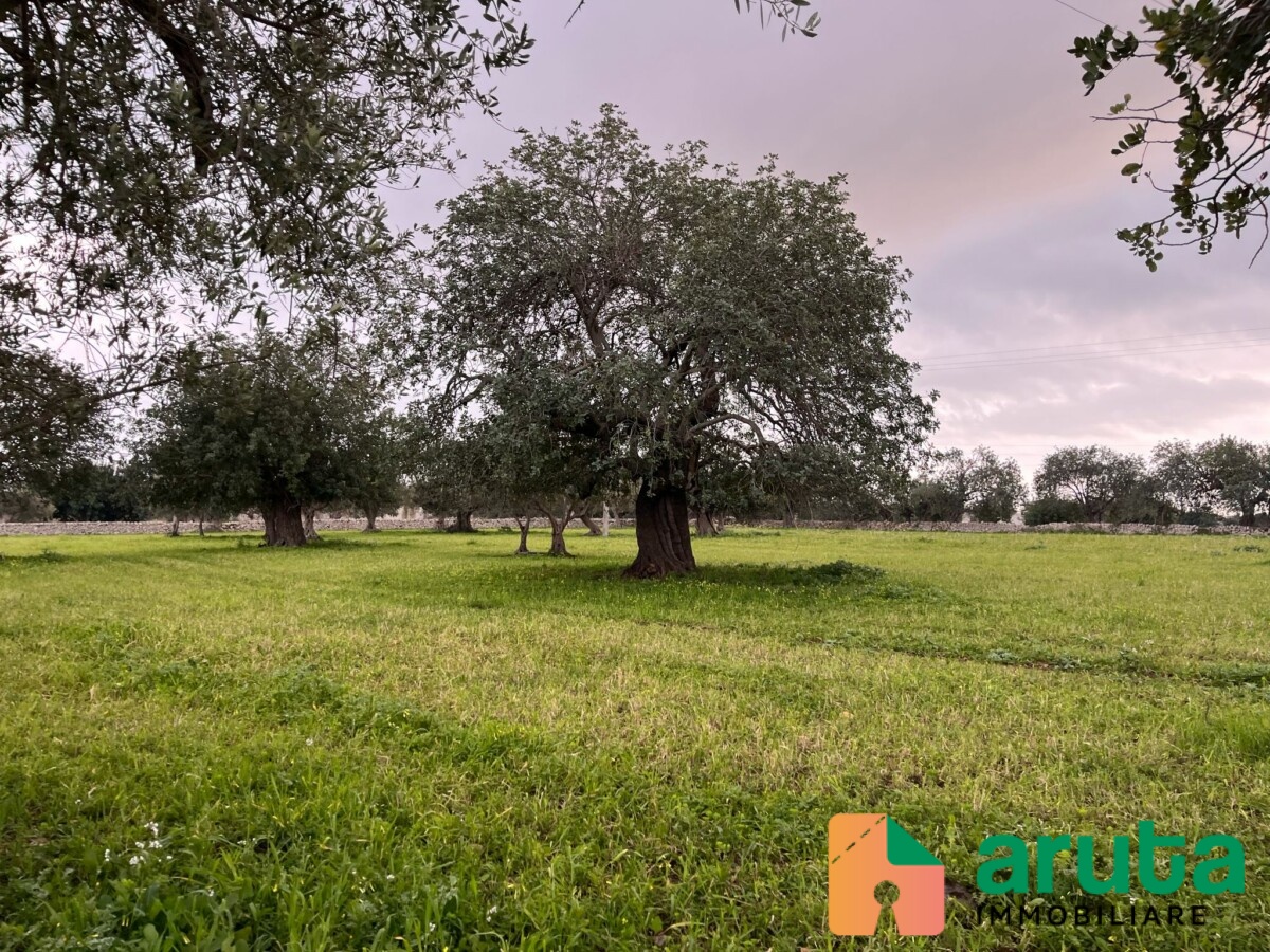 Rosolini - C.da Granate (1)