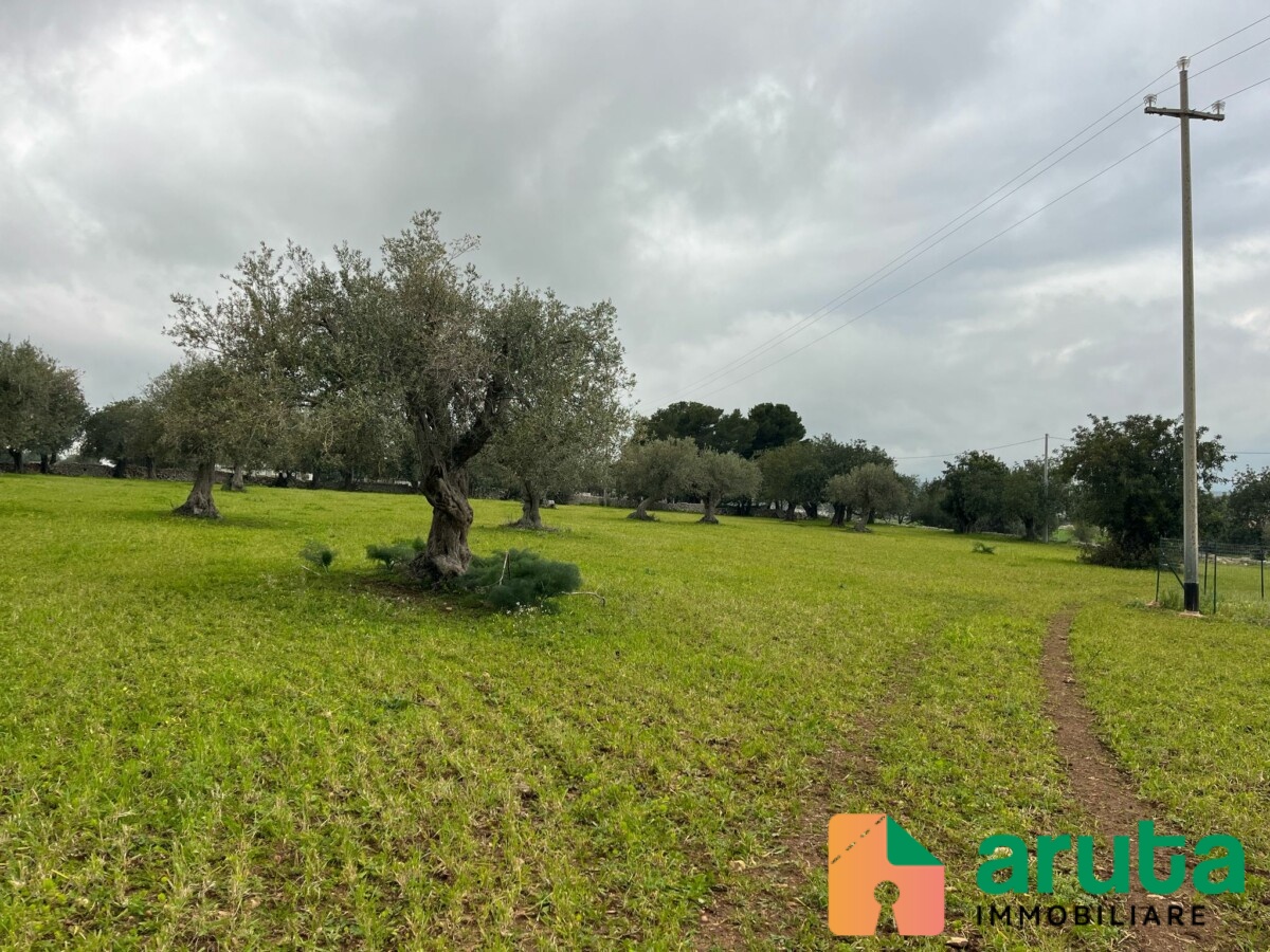 Rosolini - C.da Granate (2)