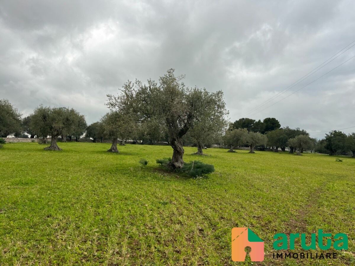 Rosolini - C.da Granate (7)