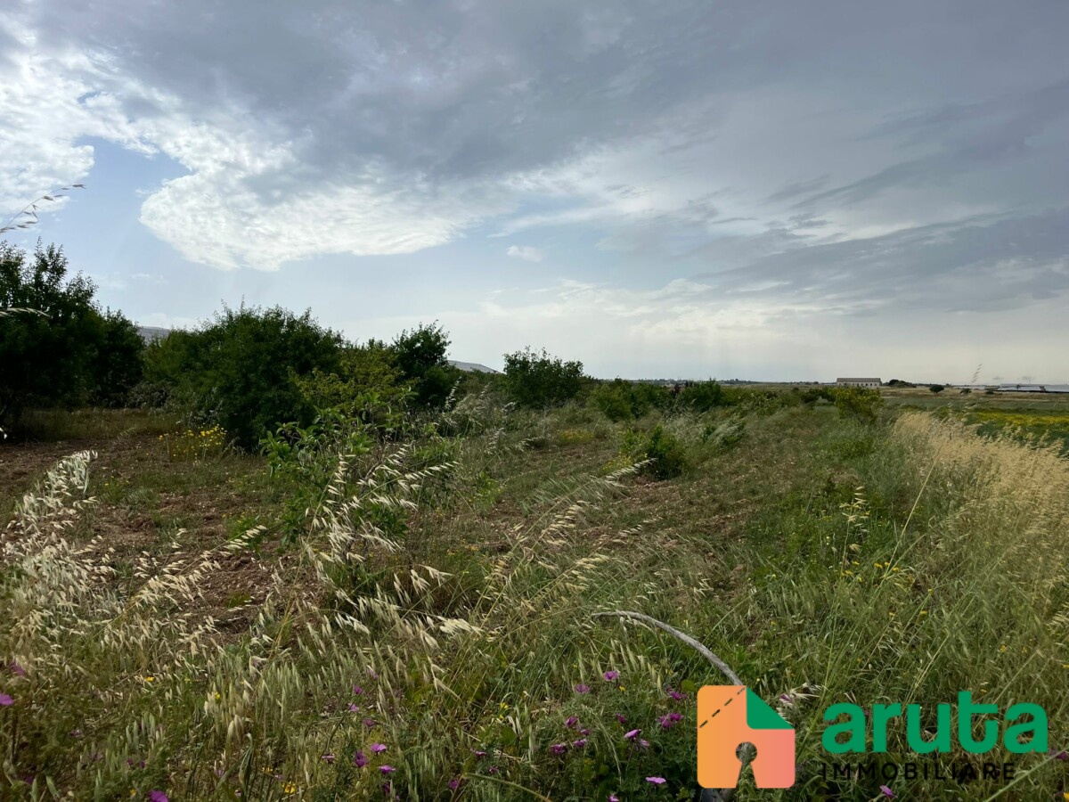 Noto - C.da Burgio (1)