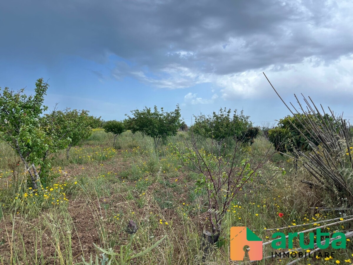 Noto - C.da Burgio (2)