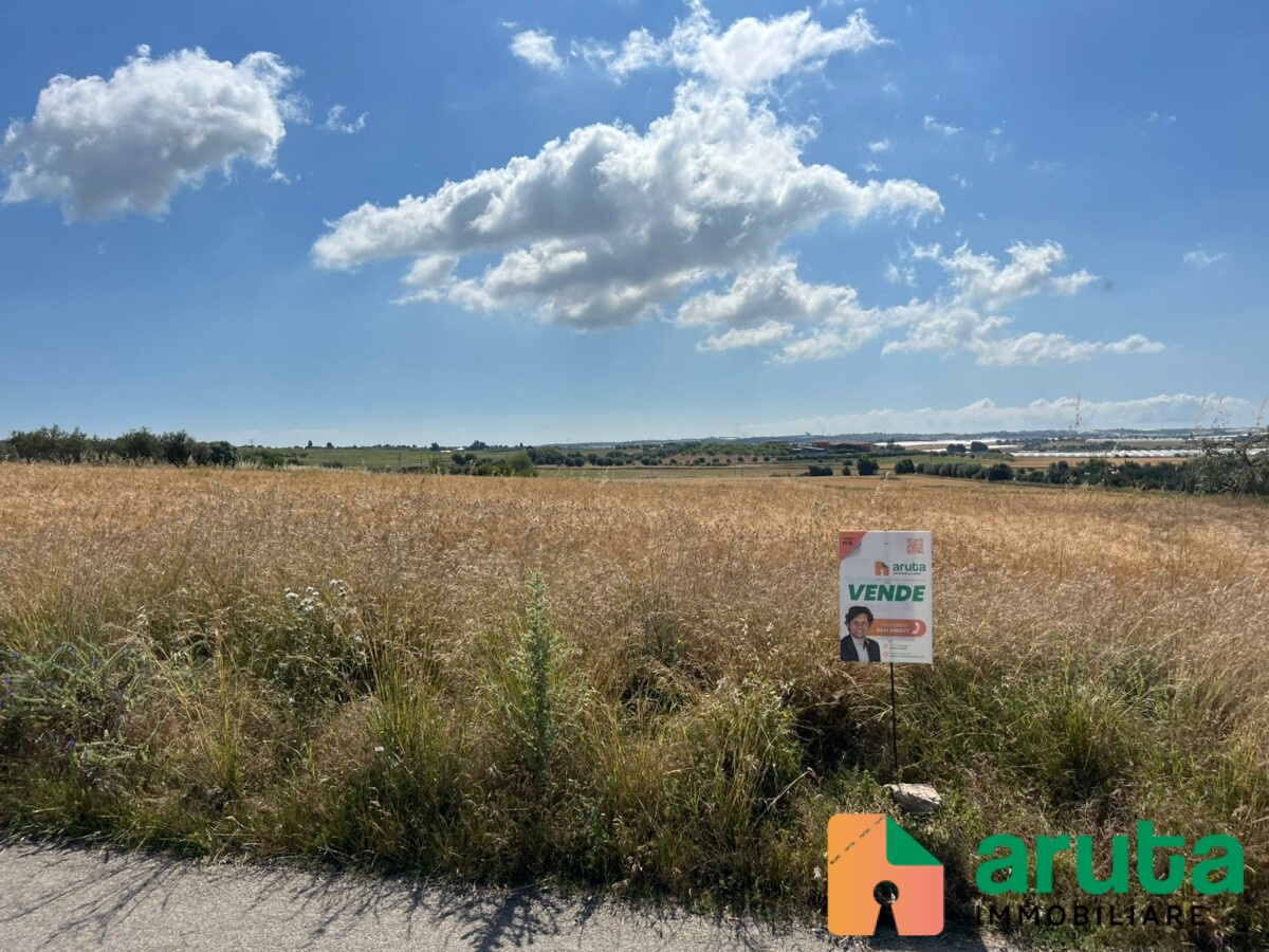 Noto - C.da Burgio (3)