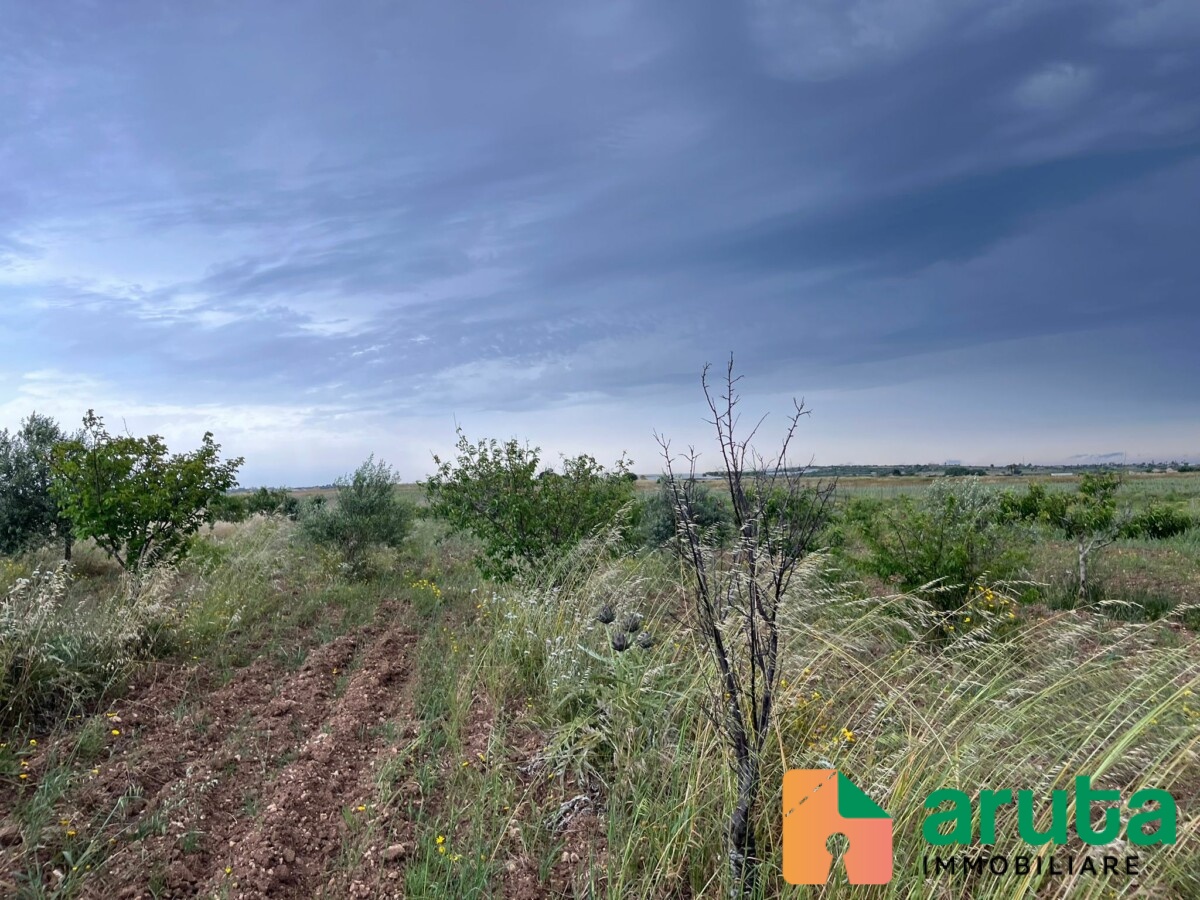 Noto - C.da Burgio (4)