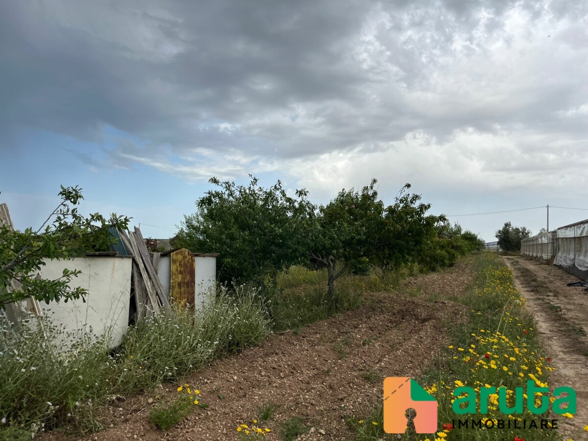 Noto - C.da Burgio (6)