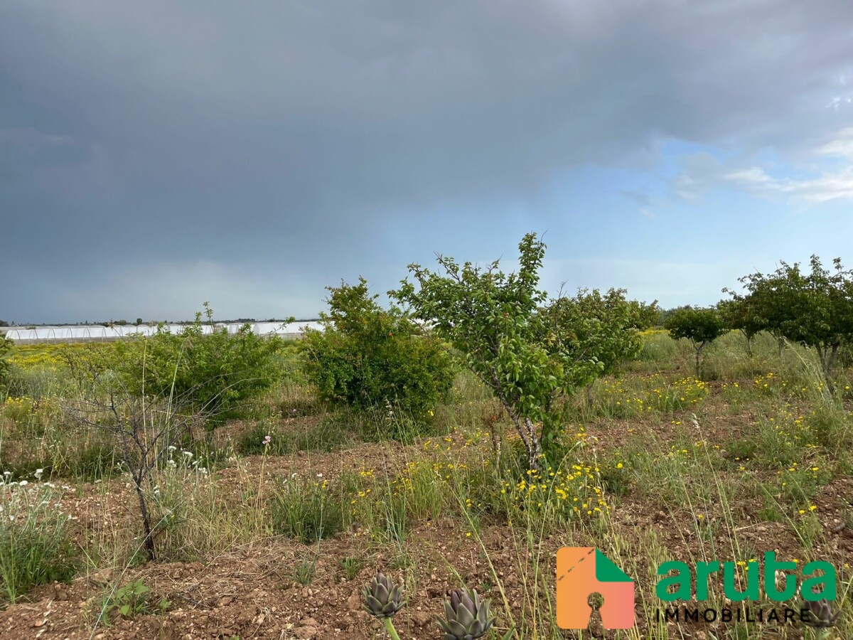 Noto - C.da Burgio (8)