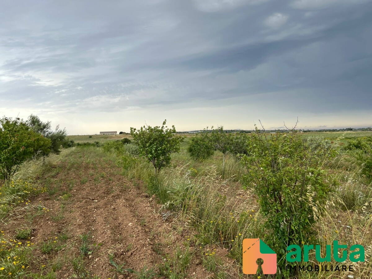 Noto - C.da Burgio (9)