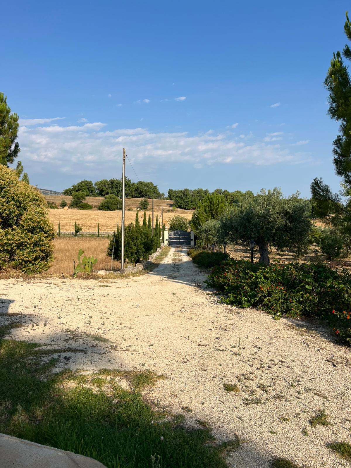 Noto - C.da Castelluccio (13)