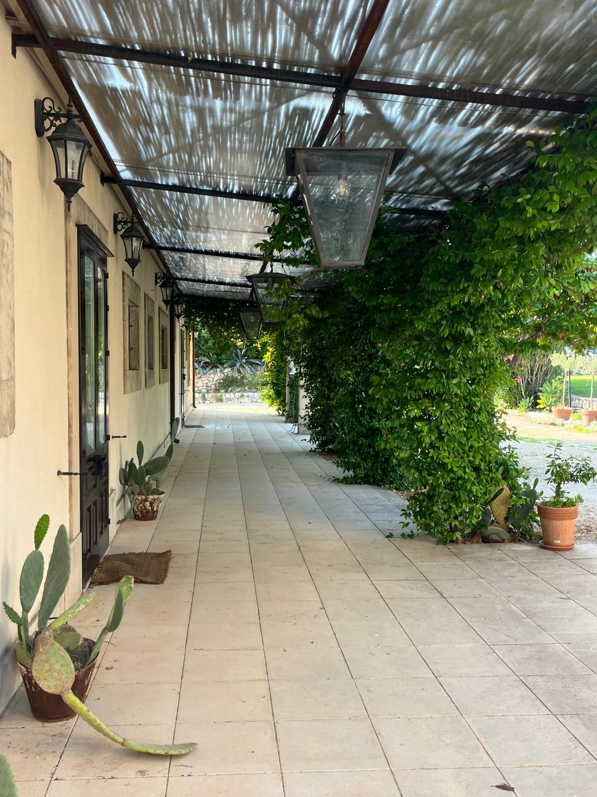 Noto - C.da Castelluccio (2)