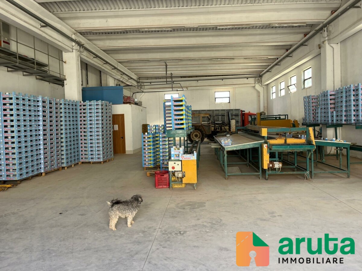 Noto - C.da Triona (12)