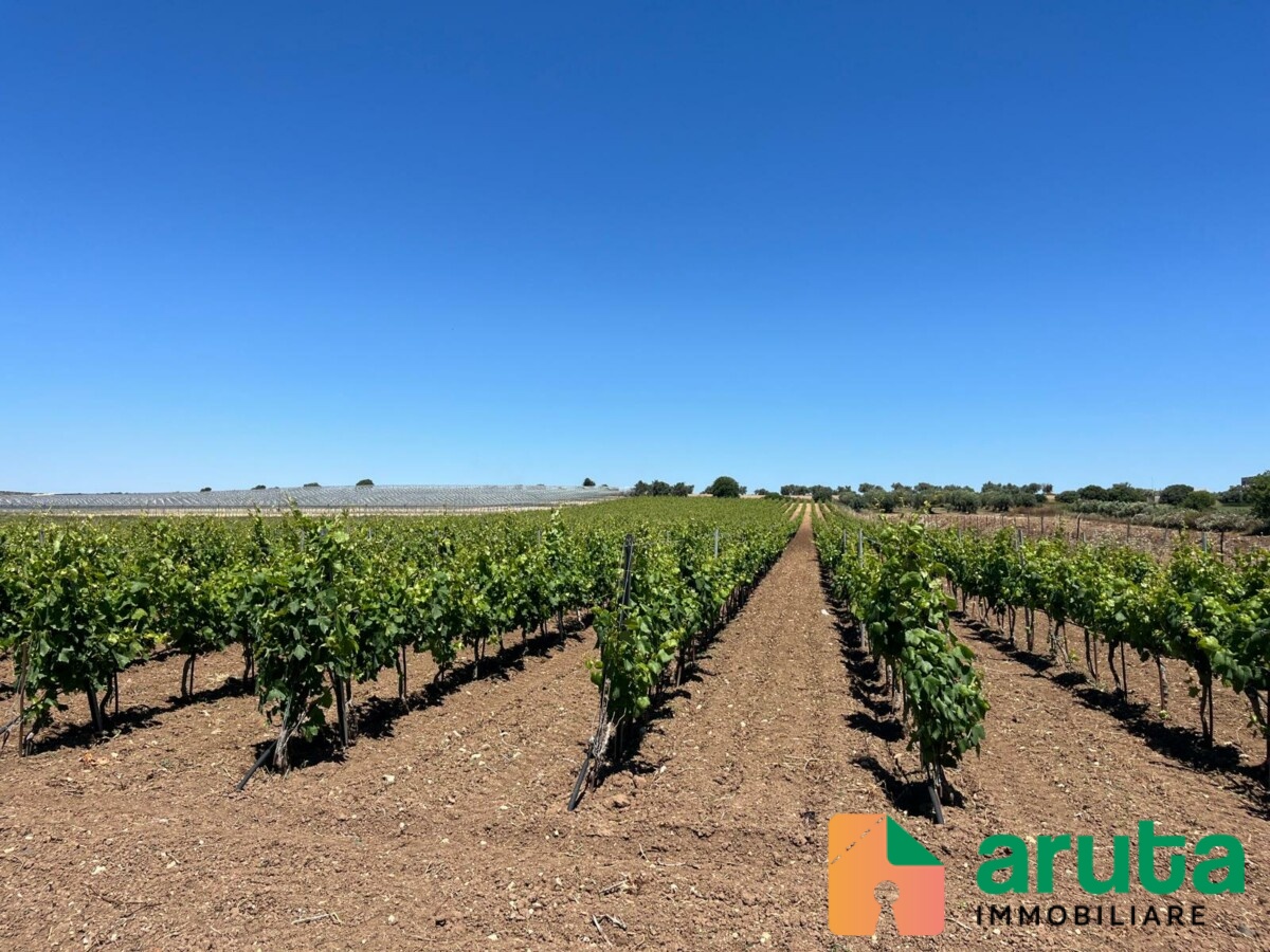 Noto - C.da Triona (16)