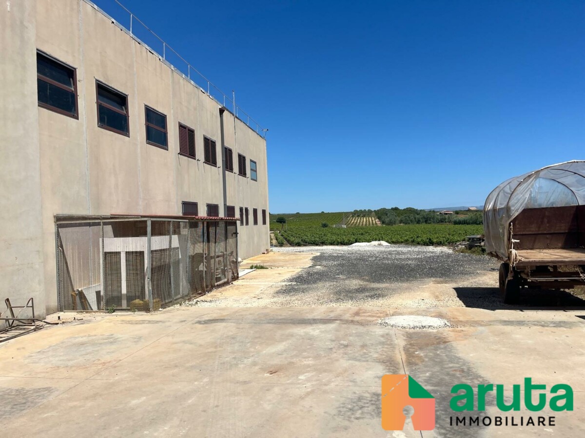 Noto - C.da Triona (17)