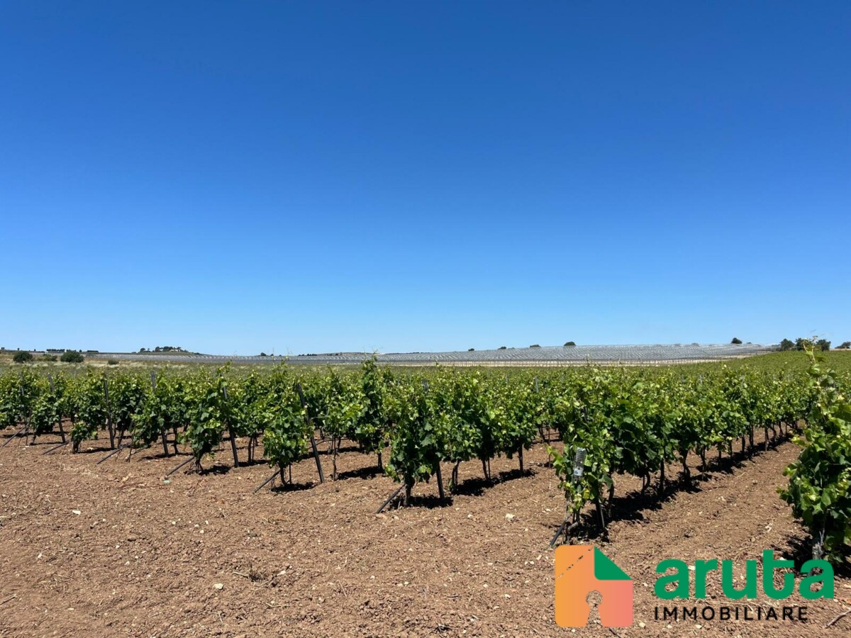 Noto - C.da Triona (18)