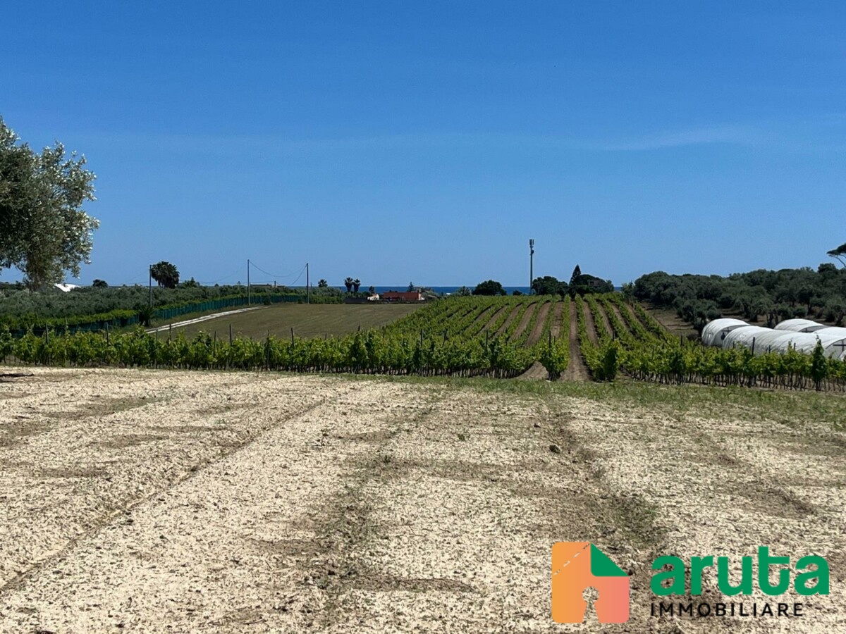 Noto - C.da Triona (6)