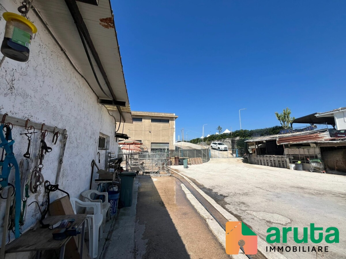 Pachino - C.da Cozzi (13)