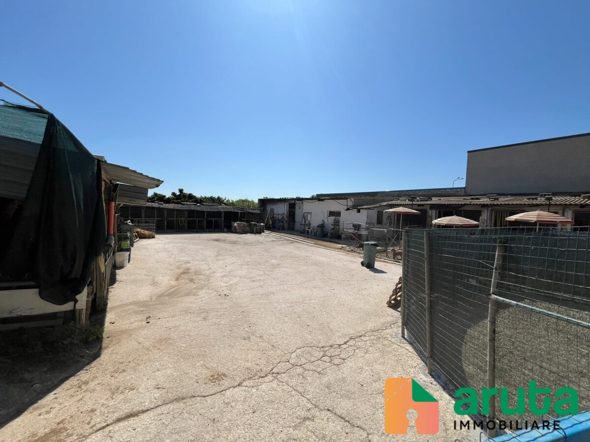 Pachino - C.da Cozzi (31)