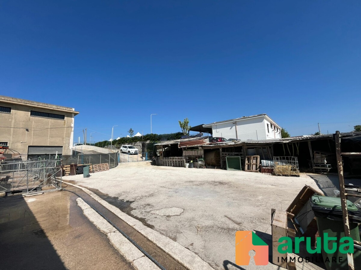 Pachino - C.da Cozzi (6)