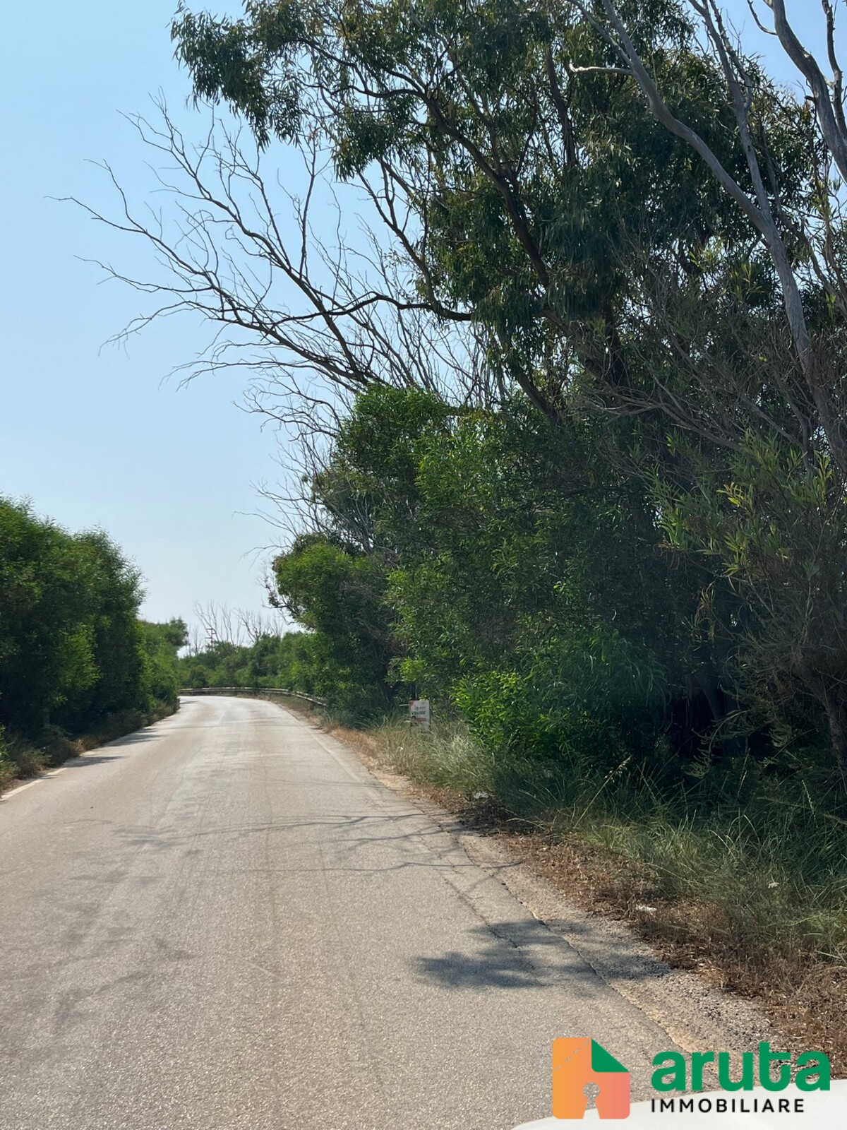 Pachino - C.da Longarini (10)