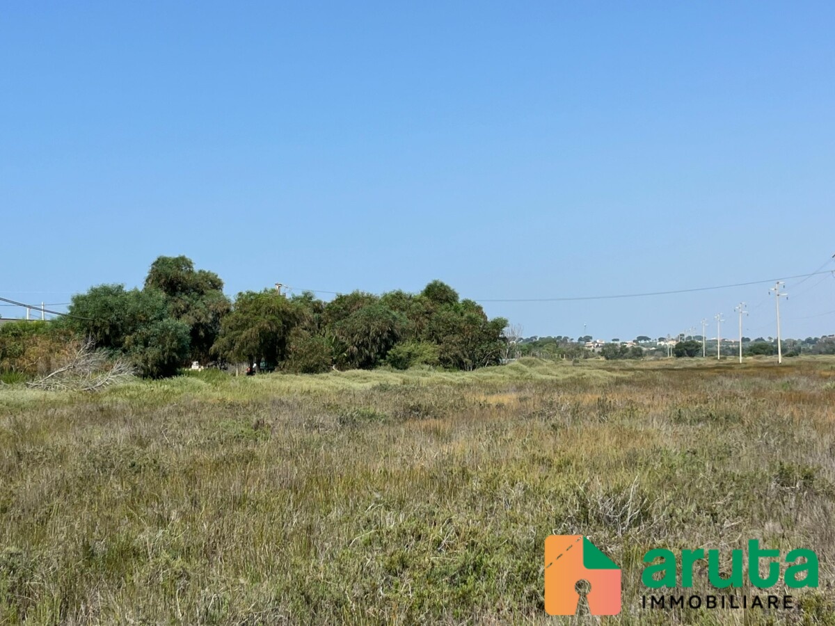 Pachino - C.da Longarini (11)