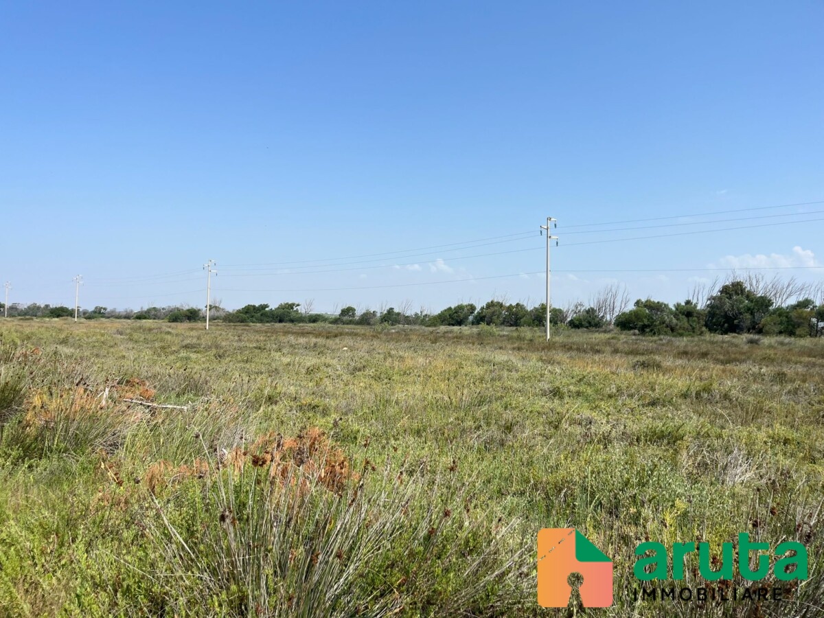 Pachino - C.da Longarini (12)