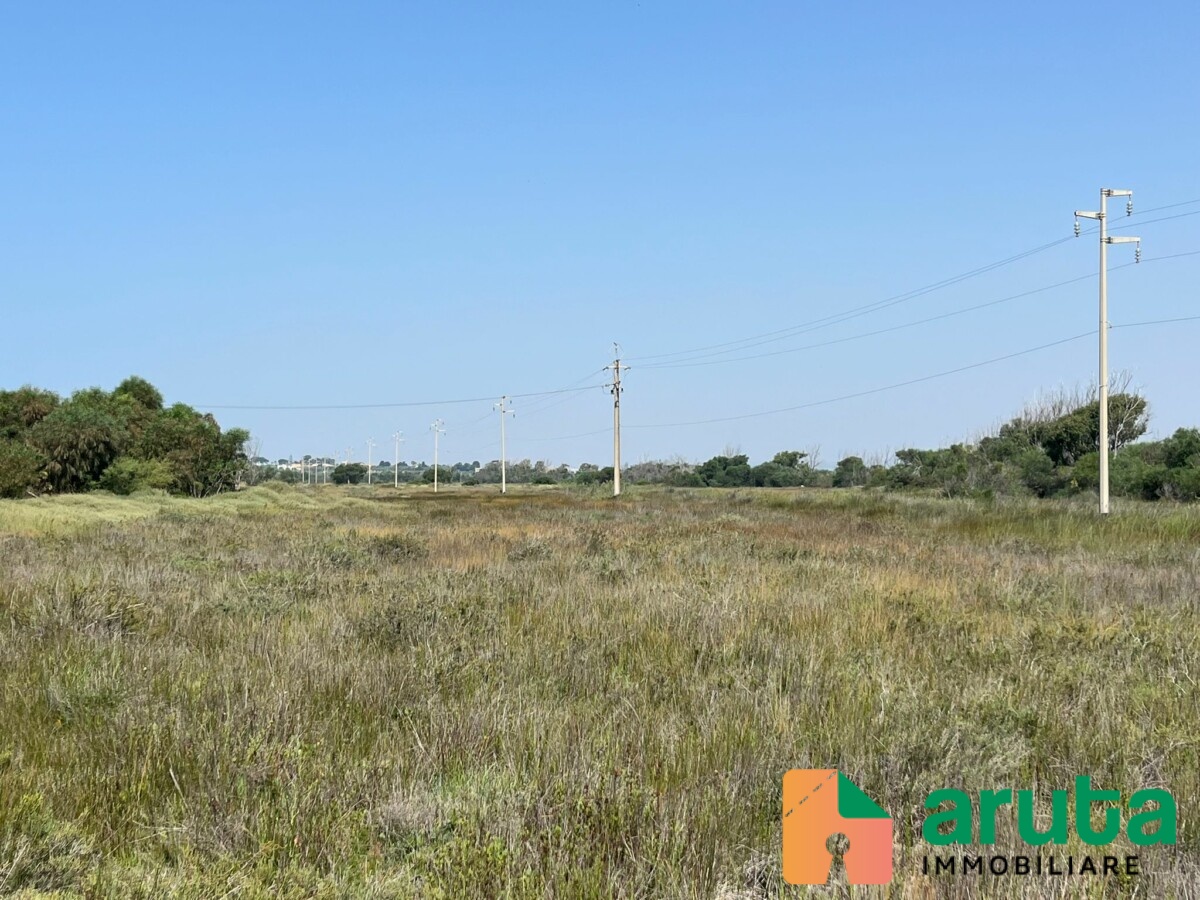 Pachino - C.da Longarini (2)