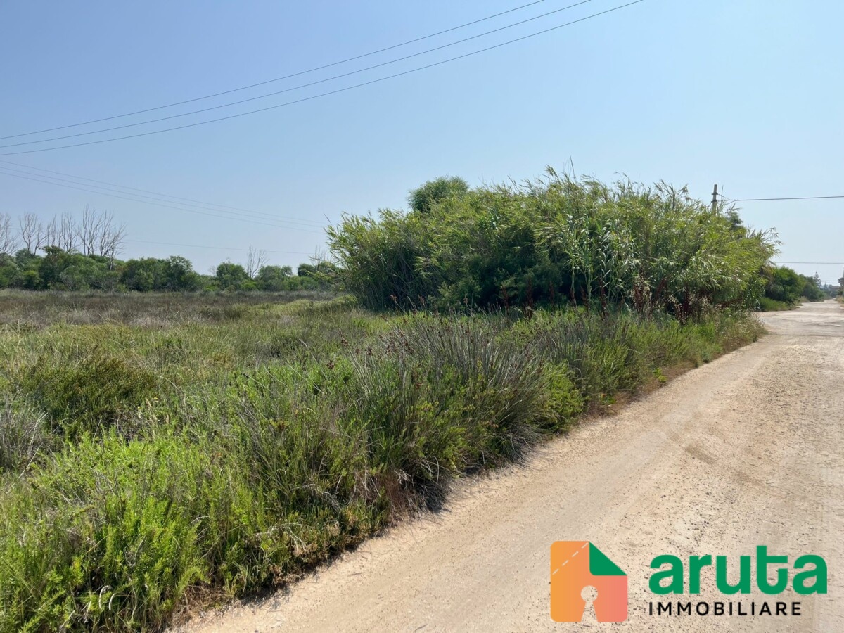 Pachino - C.da Longarini (3)