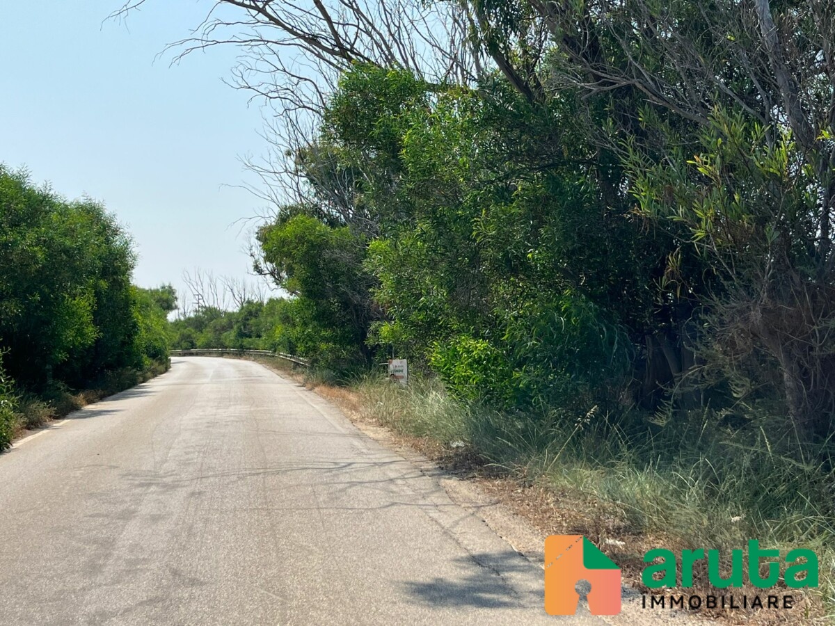 Pachino - C.da Longarini (6)