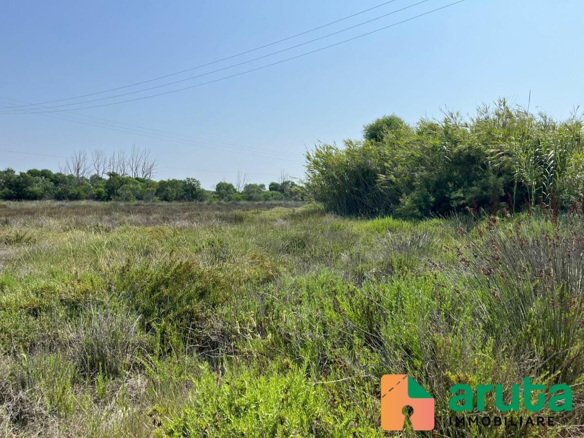 Pachino - C.da Longarini (7)