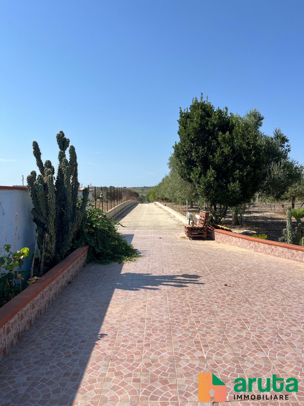 Noto - C.da San Lorenzo (12)