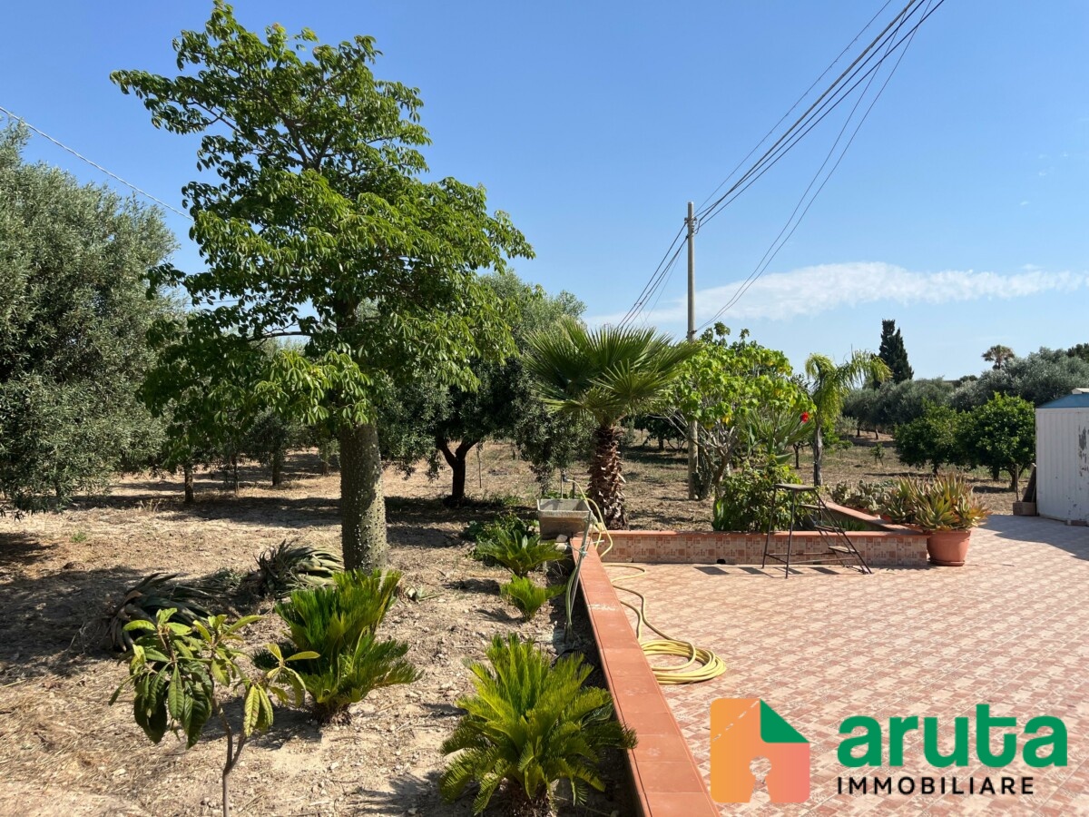 Noto - C.da San Lorenzo (43)