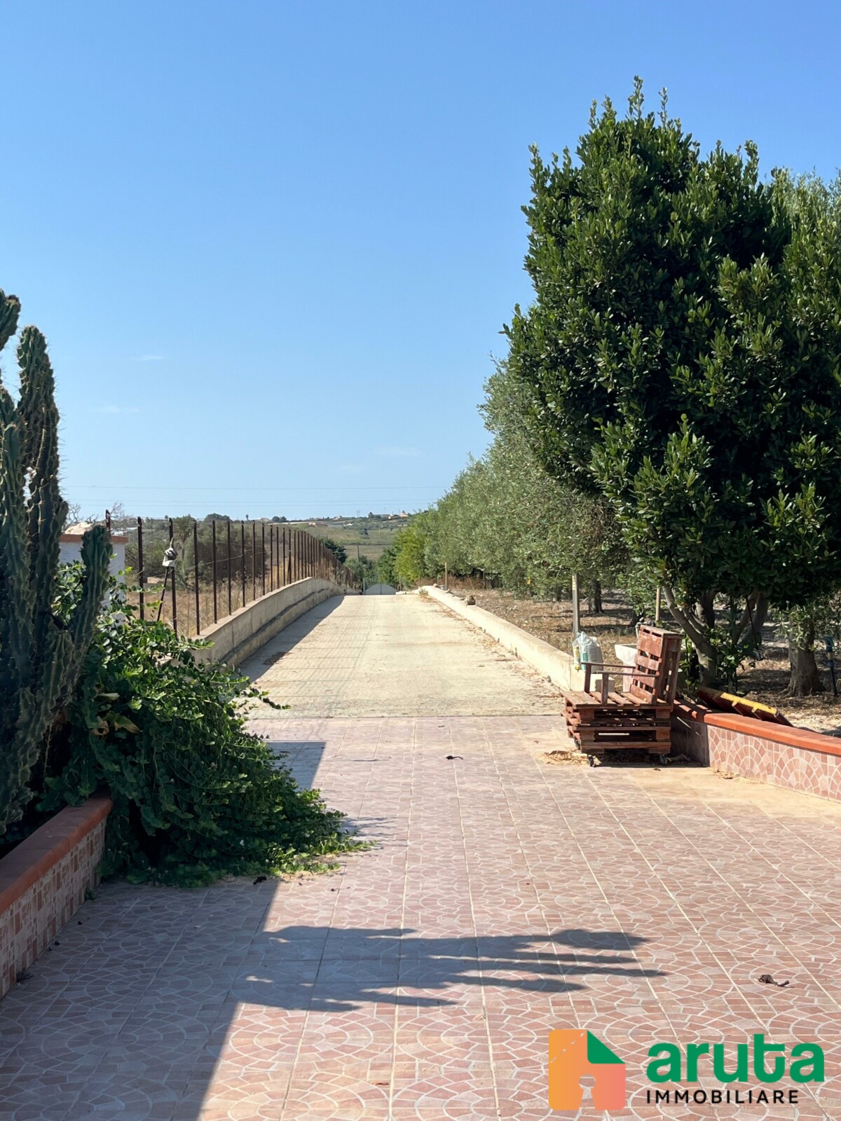 Noto - C.da San Lorenzo (59)