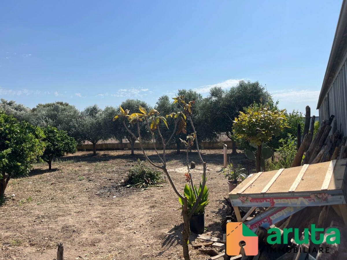 Noto - C.da San Lorenzo (70)