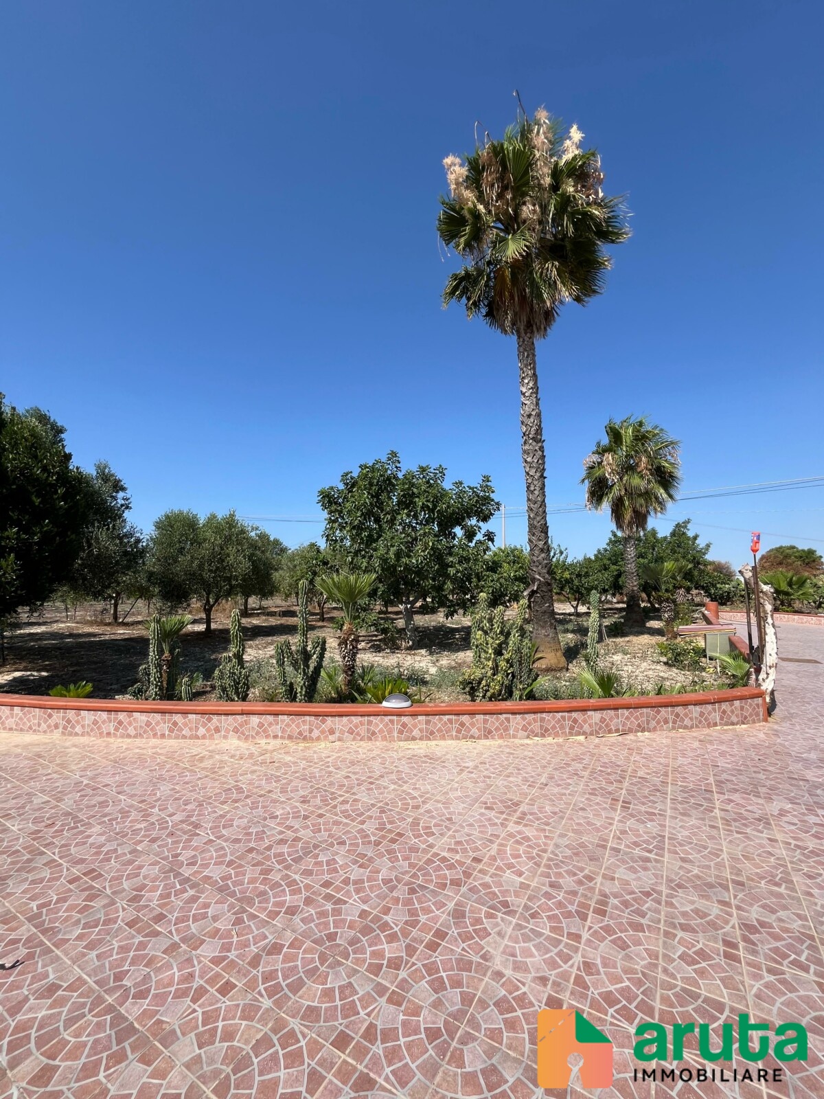 Noto - C.da San Lorenzo (76)