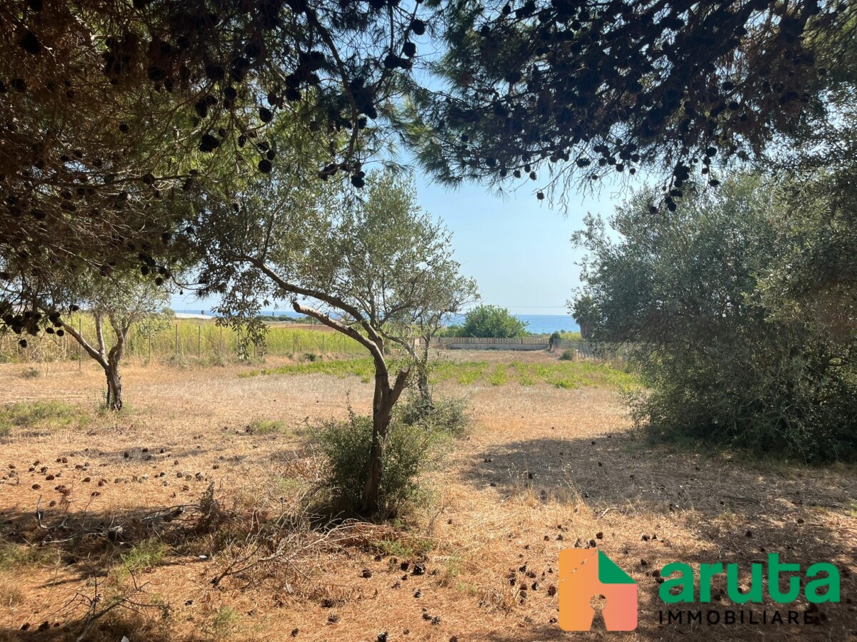 Pachino - C.da Chiappa (6)