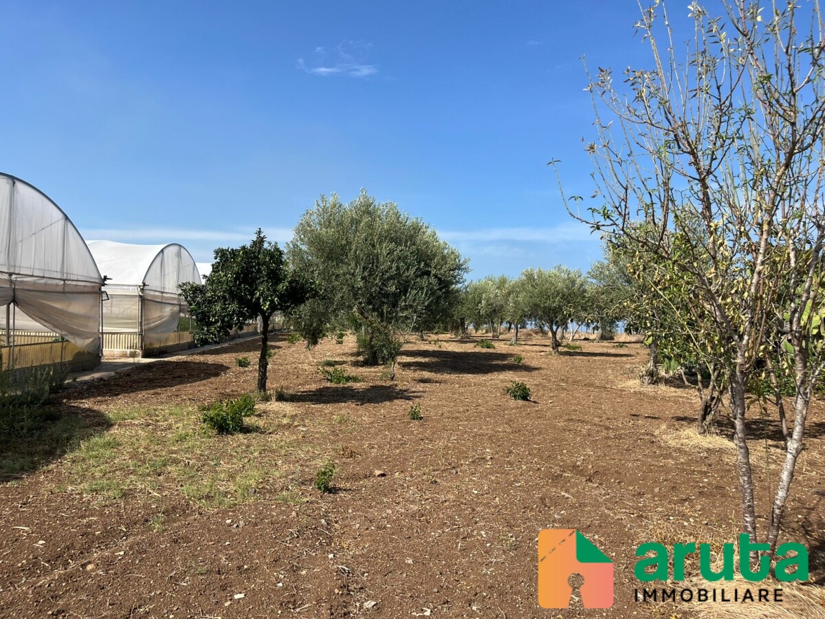 Pachino - C.da Guastella (17)