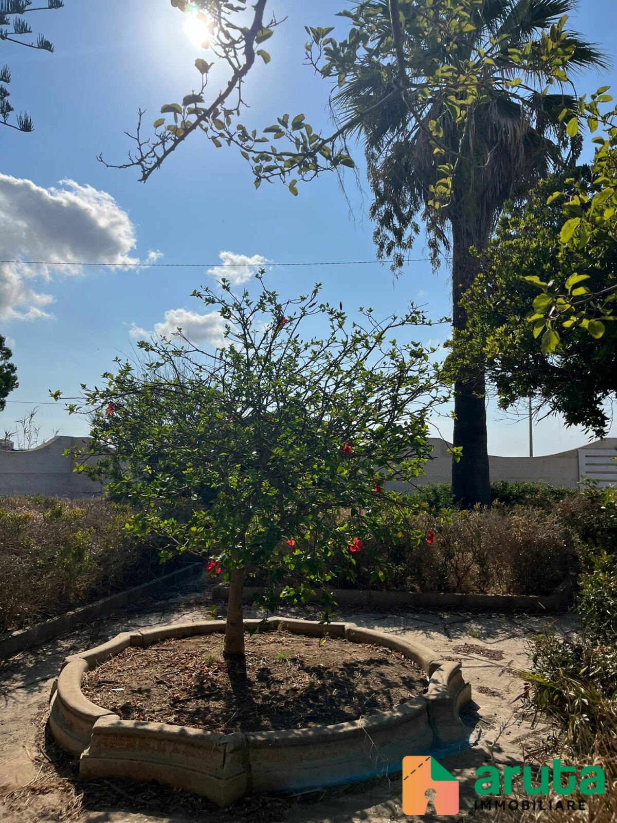 Pachino - C.da Morghella (24)