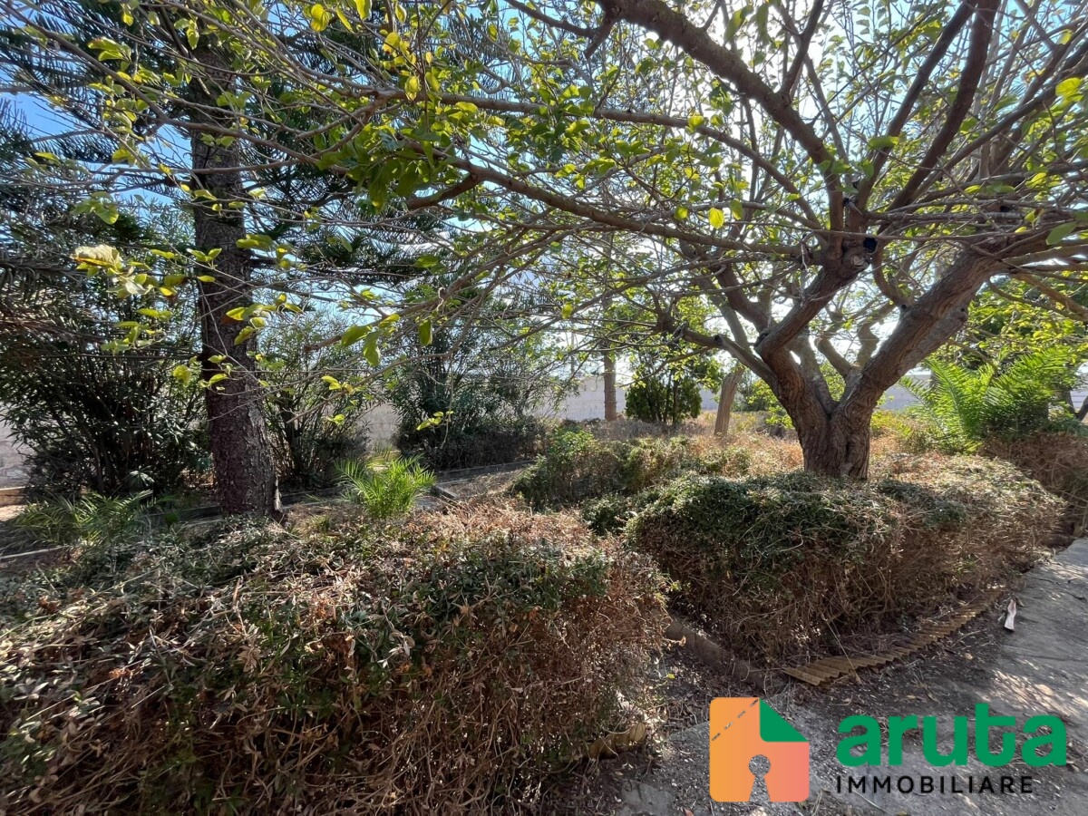 Pachino - C.da Morghella (6)