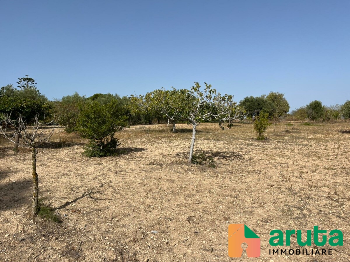 Noto - C.da Reitani (9)