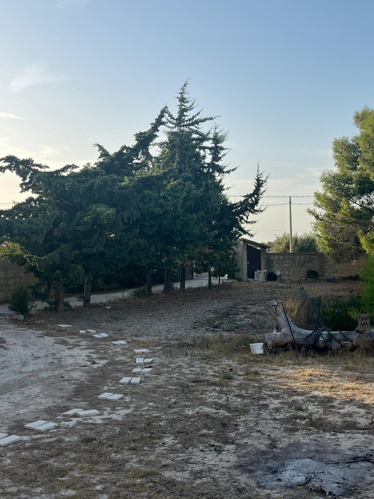 Pachino - C.da Cozzi (16)